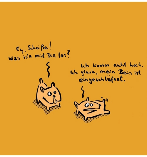 Kreuzer 2004 22