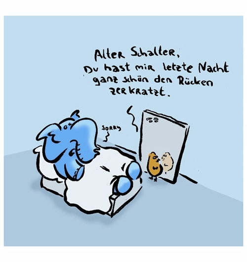 Kreuzer 2005 11