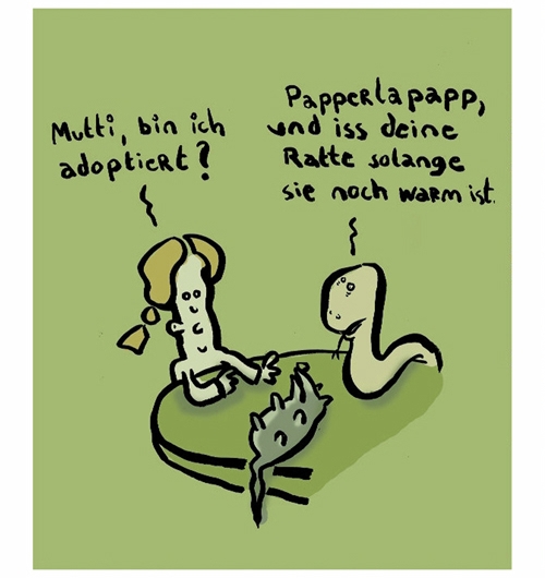 Kreuzer 2005 16