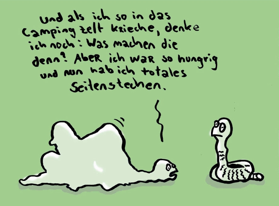 Kreuzer 2007 4